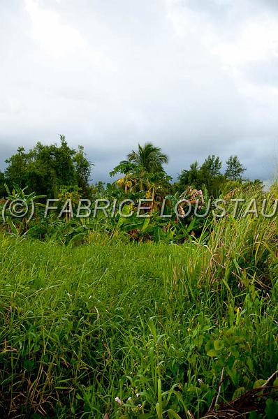 20120819-FLS_5495.jpg