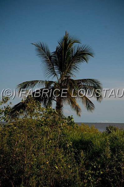 20120820-FLS_5523.jpg
