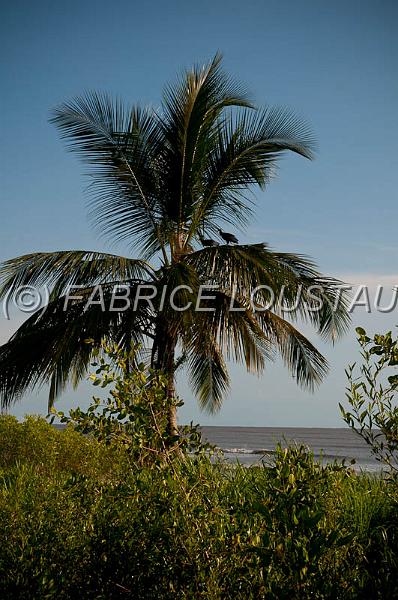 20120820-FLS_5524.jpg