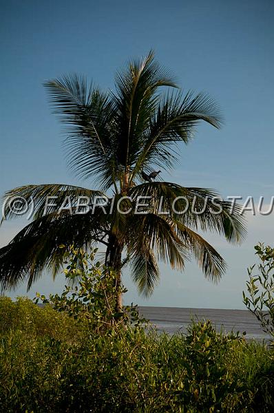20120820-FLS_5525.jpg