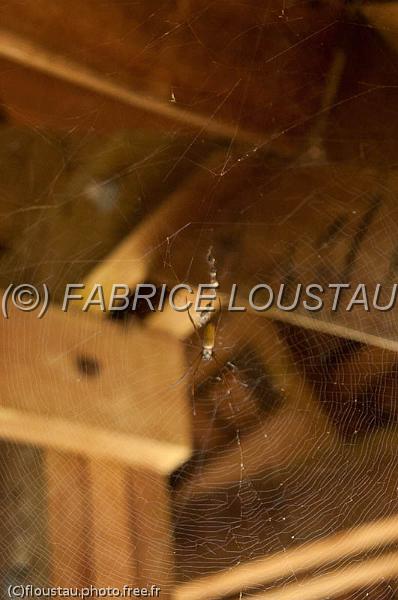 20120825-FLU_5615.jpg
