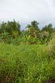 20120819-FLS_5493