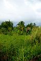 20120819-FLS_5495