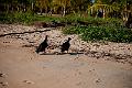 20120820-FLS_5518