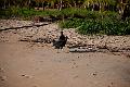 20120820-FLS_5519