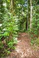 20120825-FLU_5589