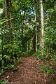 20120825-FLU_5590