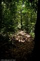 20120825-FLU_5591