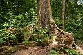 20120825-FLU_5597