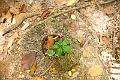 20120825-FLU_5598