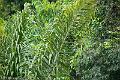 20120825-FLU_5632