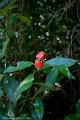 20120825-FLU_5643