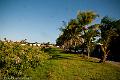 20120825-FLU_5650