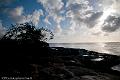 20120826-FLU_5667