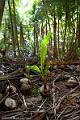 20120826-FLU_5688