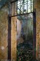 20120826-FLU_5694