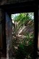 20120826-FLU_5699