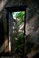 20120826-FLU_5700