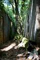 20120826-FLU_5702
