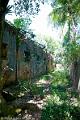 20120826-FLU_5704