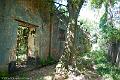20120826-FLU_5705