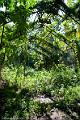 20120826-FLU_5706