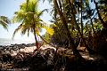 20120826-FLU_5722