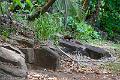 20120826-FLU_5749