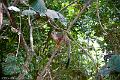 20120826-FLU_5757