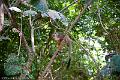20120826-FLU_5758