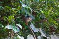 20120826-FLU_5759