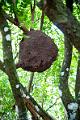 20120826-FLU_5781