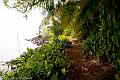 20120826-FLU_5782
