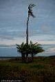 20120826-FLU_5825