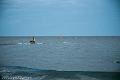 20120826-FLU_5840