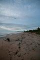 20130517-FLS_2896